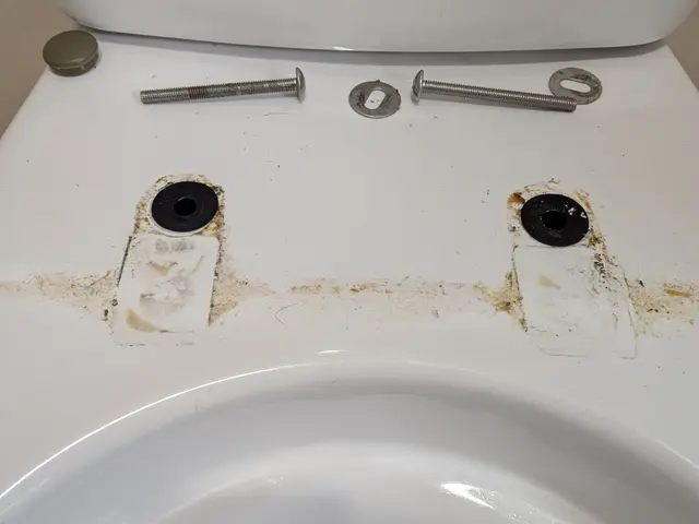 トイレクリーニングサービスの画像