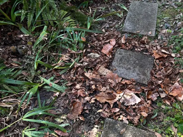 大切な庭木を元気に！天然素材を使用するナチュラルな仕上がりのエアレーション。サービスの画像