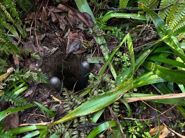 大切な庭木を元気に！天然素材を使用するナチュラルな仕上がりのエアレーション。サービスの画像