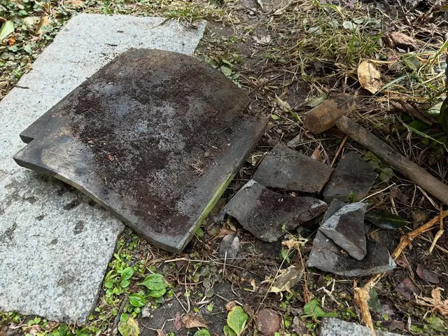 大切な庭木を元気に！天然素材を使用するナチュラルな仕上がりのエアレーション。サービスの画像