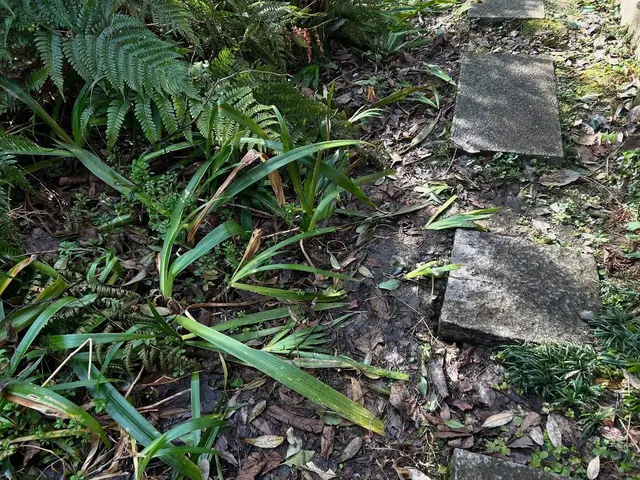 大切な庭木を元気に！天然素材を使用するナチュラルな仕上がりのエアレーション。サービスの画像