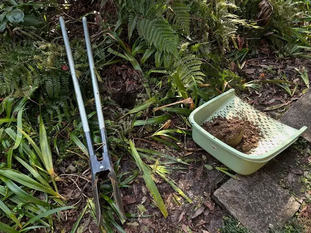 大切な庭木を元気に！天然素材を使用するナチュラルな仕上がりのエアレーション。サービスの画像