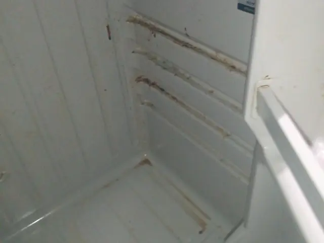 夜間・早朝対応可◎細部まで徹底クリーニング！汚れ具合や劣化具合で臨機応変に対応サービスの画像