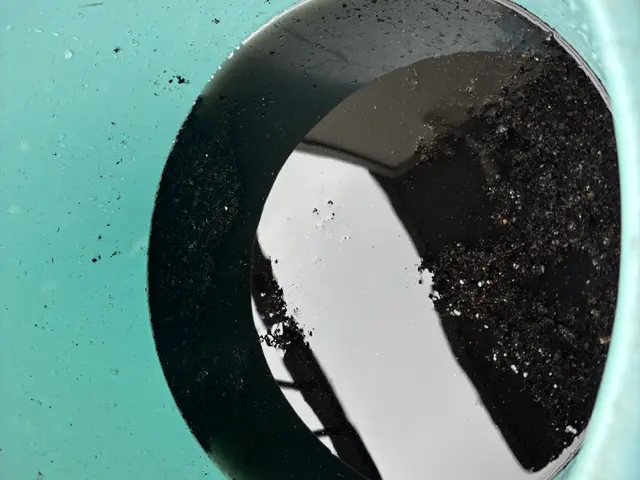 《作業実績1500件以上》大掃除前に！高圧洗浄でスッキリ！2台目以降は割引有り！サービスの画像