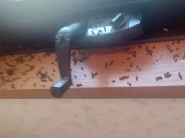 コウモリの侵入を徹底対策！再発防止まで対応します。無料見積もり可能です！！！サービスの画像