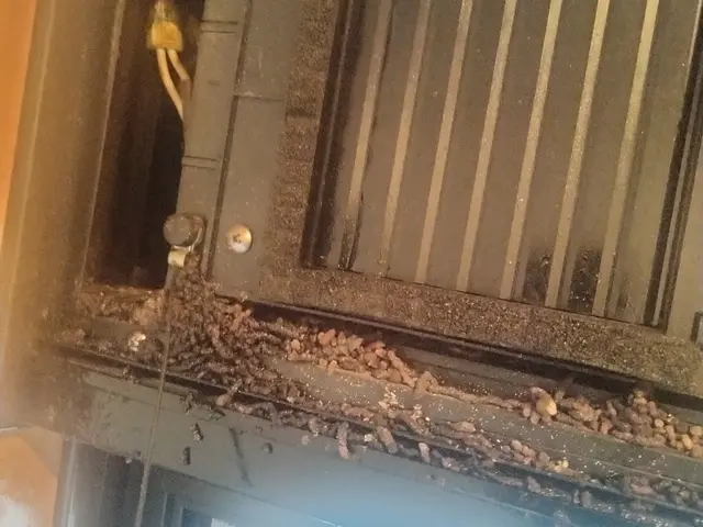 コウモリの侵入を徹底対策！再発防止まで対応します。無料見積もり可能です！！！サービスの画像