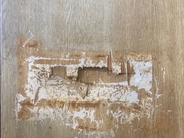 ドア穴補修サービスの画像