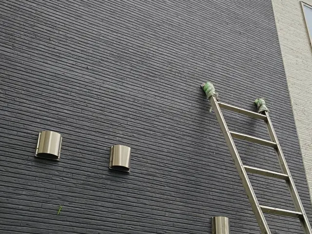 蔦の除去撤去サービスの画像