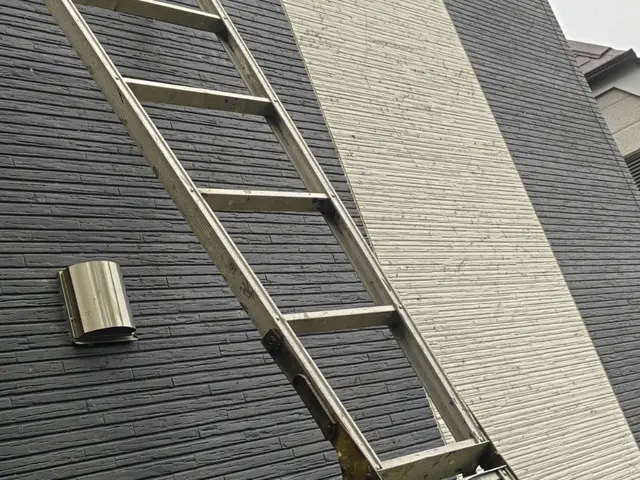 蔦の除去撤去サービスの画像