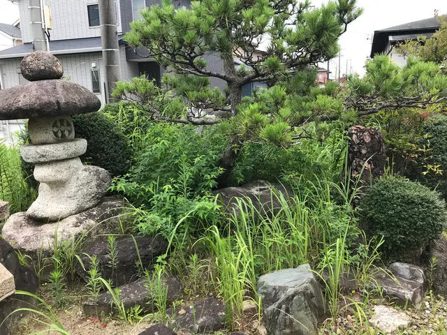 ★丁寧な作業、親身になって草取りします！立ち合い無しでも空き家でも作業を致しますサービスの画像