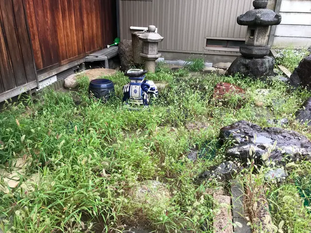 ★丁寧な作業、親身になって草取りします！立ち合い無しでも空き家でも作業を致しますサービスの画像