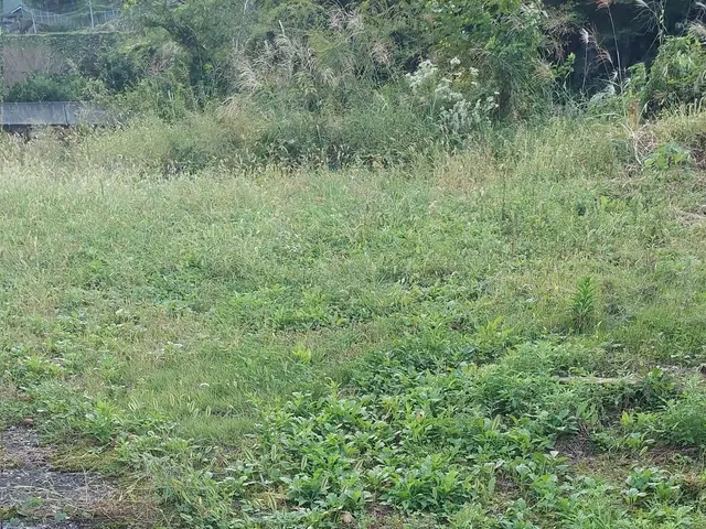 バッテリー機、エンジン機の二刀流！環境や状況に応じて自在に変更可能！サービスの画像