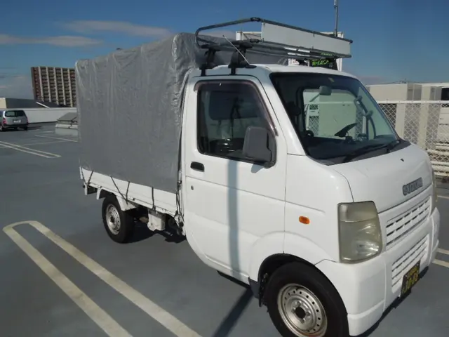 引越前後や片付け時　お引越と同様、慎重に作業致します。　三毛猫ホームサービスサービスの画像