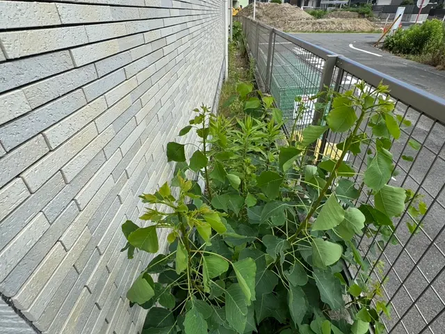 ◆店長の私が全て対応致します◎誠実に向き合い、安心・快適・感動をお届けします！サービスの画像