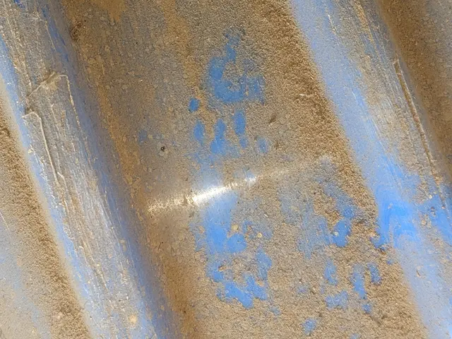 《害獣駆除》当日依頼OK！24時間急行致します!お気軽にお問い合わせ下さい。サービスの画像