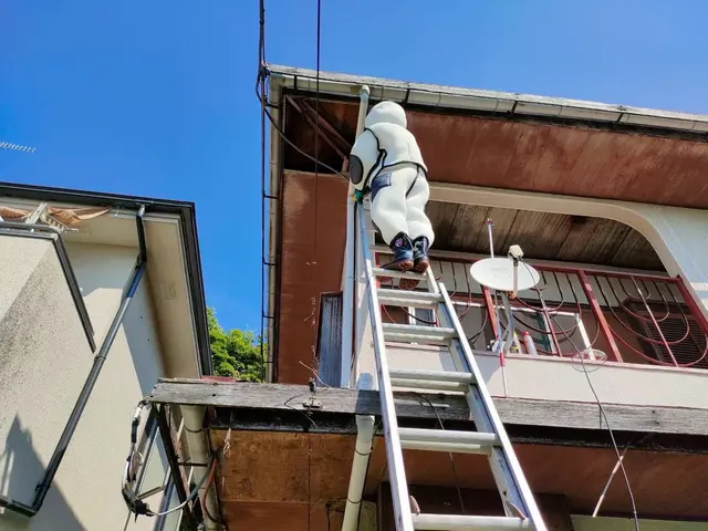【迅速対応】◆ハチの巣駆除◆ 危険な駆除、お任せください！チャドク蛾の駆除も！！サービスの画像
