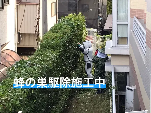 【迅速対応】◆ハチの巣駆除◆ 危険な駆除、お任せください！チャドク蛾の駆除も！！サービスの画像