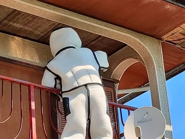 【迅速対応】◆ハチの巣駆除◆ 危険な駆除、お任せください！チャドク蛾の駆除も！！サービスの画像