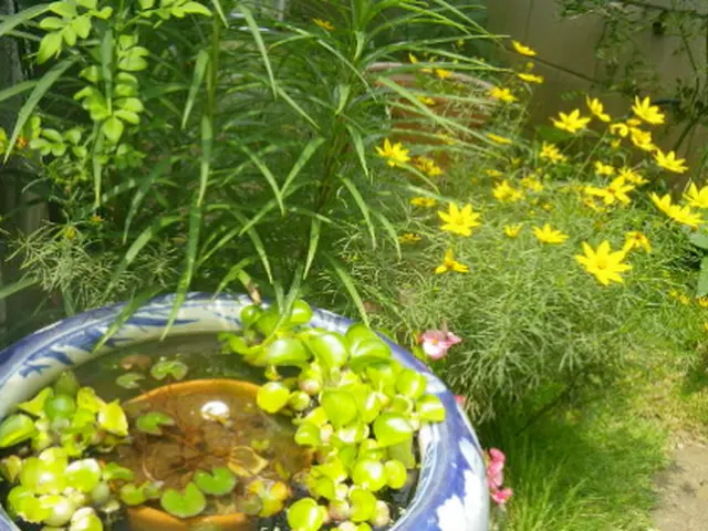 【駐車場代無料・外注無し】27年のベテラン庭師の私が伺います！サービスの画像