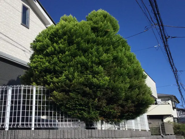 作業外注一切なし◎営業時間外・対応地域外のご予約も相談可能です！サービスの画像