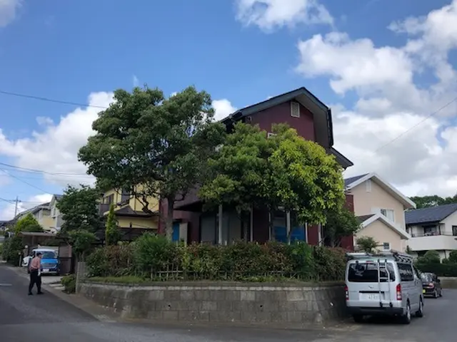 庭木・立ち木・生垣・植栽の剪定、伐採まで（※抜根、回収は別料金になります）サービスの画像