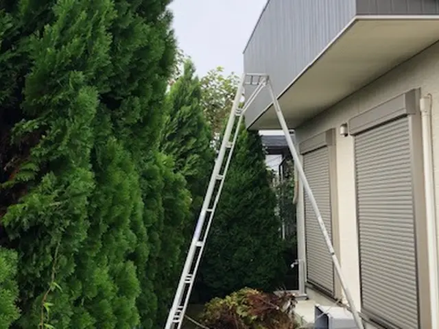 庭木・立ち木・生垣・植栽の剪定、伐採まで（※抜根、回収は別料金になります）サービスの画像