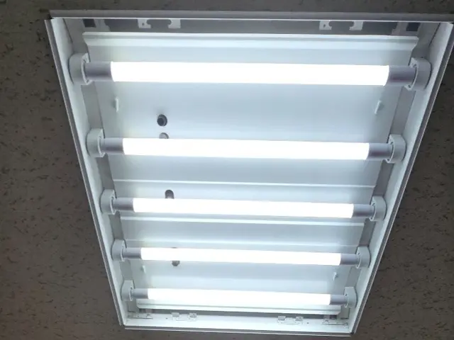 20本＠4900円～★蛍光灯・バイパス・処分込★迅速で丁寧★事務所や店舗サービスの画像