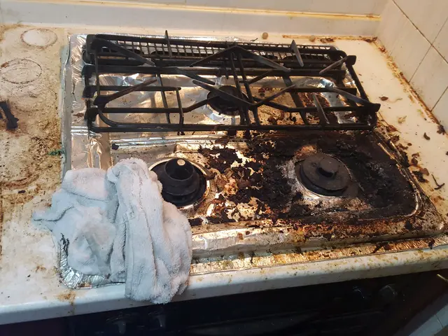 コンロや五徳の頑固な焦げ付き、シンクや蛇口の水垢、キレイにさせますサービスの画像