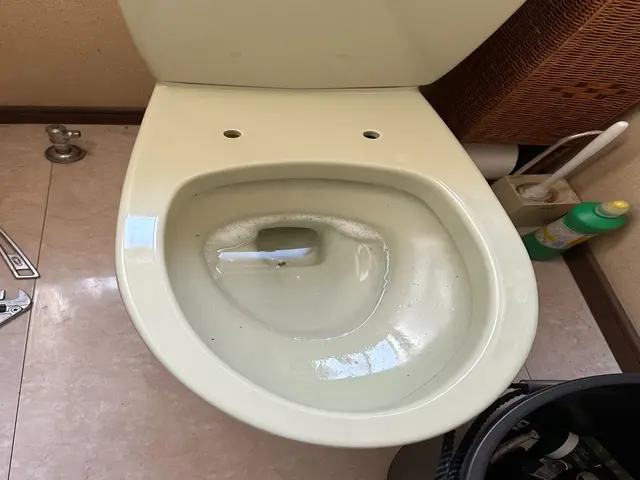 温水洗浄便座（ウォシュレット・シャワートイレ等）の取り外しサービスの画像