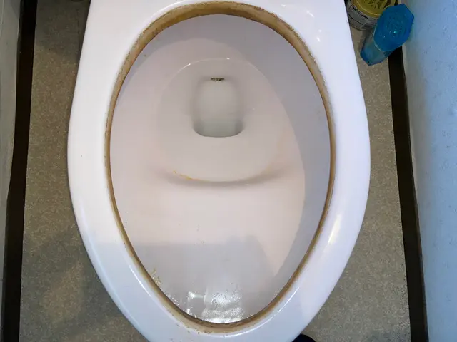 【セットがお得！】トイレクリーニング9000円サービスの画像