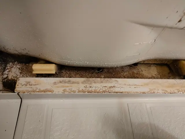 空室クリーニング。サービスの画像