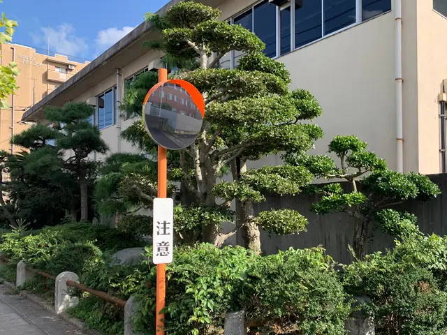 剪定・枝落し・伐採ならエービーエフへ！サービスの画像