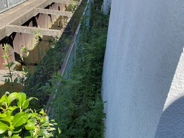 冬支度応援キャンペーン！処分料半額！年内キャンペーン中！サービスの画像