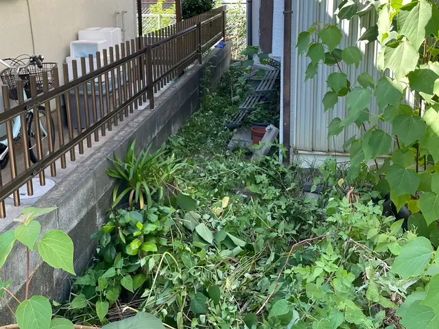 冬支度応援キャンペーン！処分料半額！年内キャンペーン中！サービスの画像