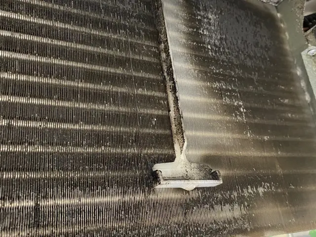 国家資格ハウスクリーニング技能士の私が伺います！サービスの画像