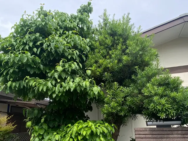 すべて自社対応◎訪問時の駐車場代は当店が負担します！サービスの画像