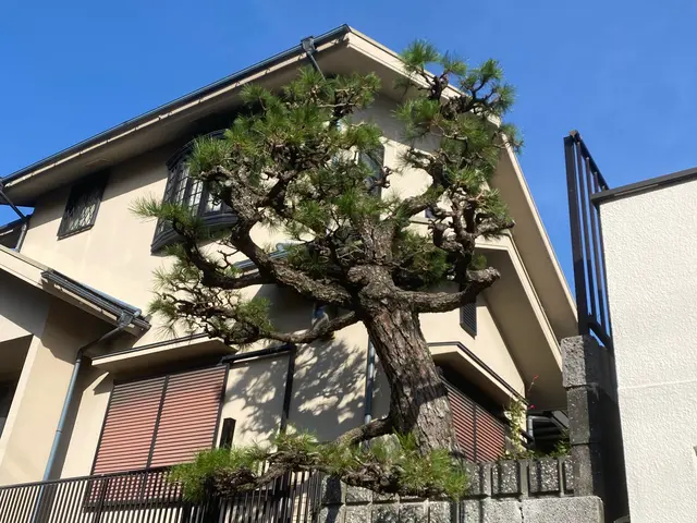 すべて自社対応◎訪問時の駐車場代は当店が負担します！サービスの画像