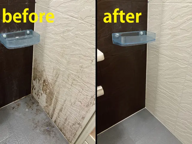 大掃除シーズン間近！お風呂をキレイにして、快適に、爽やかに♪サービスの画像