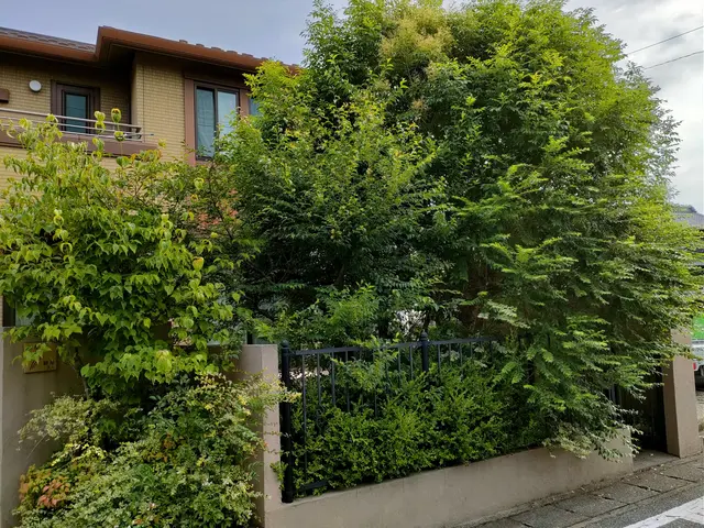 無料見積もり可！庭木の剪定は「お庭屋N-works」にお任せ下さい！サービスの画像