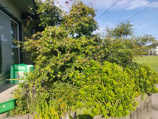 無料見積もり可！庭木の剪定は「お庭屋N-works」にお任せ下さい！サービスの画像