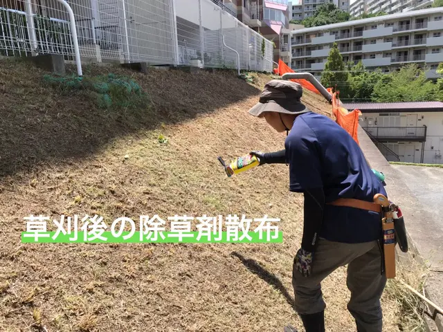 【口コミ賞受賞】 ◆草むしり(手作業)◆煩わしい草むしり，お任せください！！サービスの画像