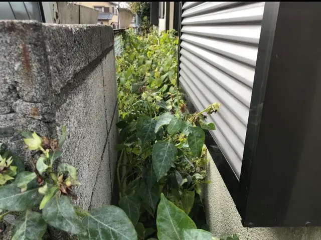 【口コミ賞受賞】 ◆草むしり(手作業)◆煩わしい草むしり，お任せください！！サービスの画像