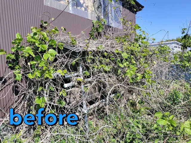 【口コミ賞受賞】 ◆草むしり(手作業)◆煩わしい草むしり，お任せください！！サービスの画像