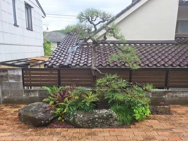 3月新規出店◎樹木を傷めない丁寧剪定｜長く美しい庭へ。松も蘇ります！【総社】サービスの画像