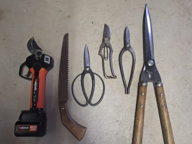 3月新規出店◎樹木を傷めない丁寧剪定｜長く美しい庭へ。松も蘇ります！【総社】サービスの画像