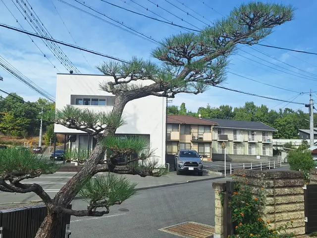 3月新規出店◎樹木を傷めない丁寧剪定｜長く美しい庭へ。松も蘇ります！【総社】サービスの画像