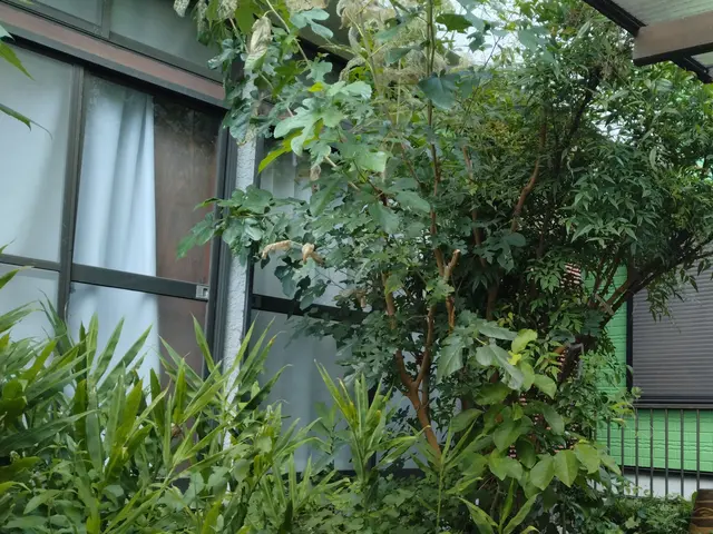 お客様のお力になります！経験と知識を活かして迅速丁寧に作業いたしますサービスの画像