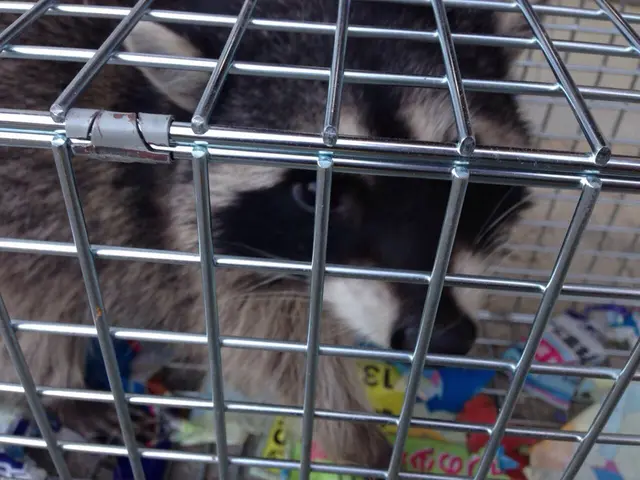 害虫・害獣の駆除お任せください！【24時間営業！】【年中無休】サービスの画像