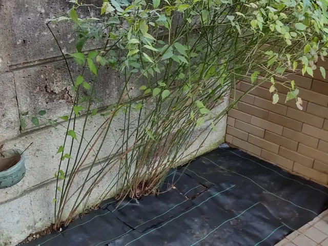 ◆年中無休◆営業時間外も対応可能◆女性スタッフ同行可能◆仕上がり保証ありサービスの画像