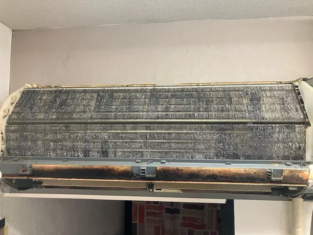 【安心の法人企業】7年/1万台の信頼♬損保加入済◉大手経験有☆お掃除機能対応OKサービスの画像